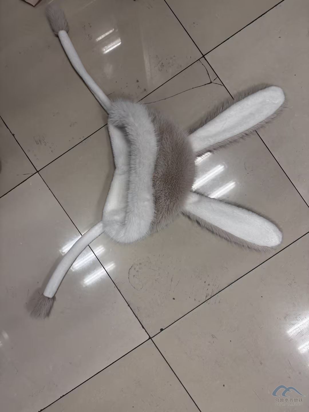 圖片 15.png 圖片 15.png