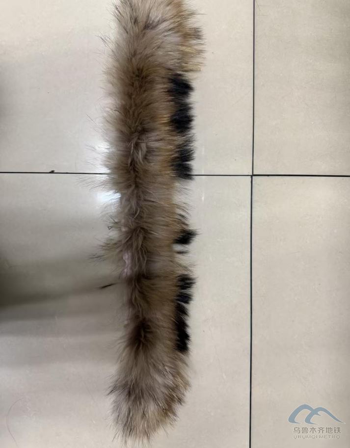 圖片 33.png 圖片 33.png