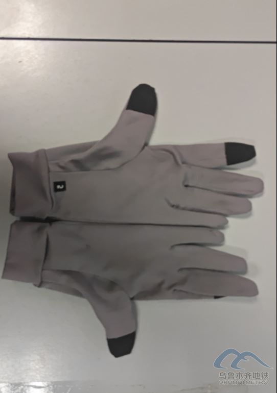 2025年10月6日地鐵1號線站內遺失物品228.png 2025年10月6日地鐵1號線站內遺失物品228.png