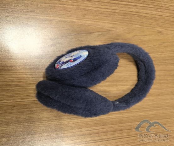 2025年11月23日地鐵1號(hào)線站內(nèi)遺失物品456.png 2025年11月23日地鐵1號(hào)線站內(nèi)遺失物品456.png