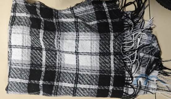 image042.jpg image042.jpg