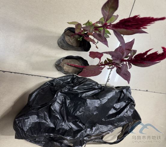 2025年7月23日地鐵1號線站內(nèi)遺失物品1070.png 2025年7月23日地鐵1號線站內(nèi)遺失物品1070.png