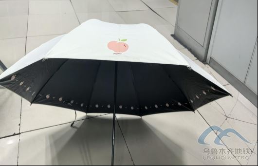 2025年8月12日地鐵1號線站內(nèi)遺失物品447.png 2025年8月12日地鐵1號線站內(nèi)遺失物品447.png