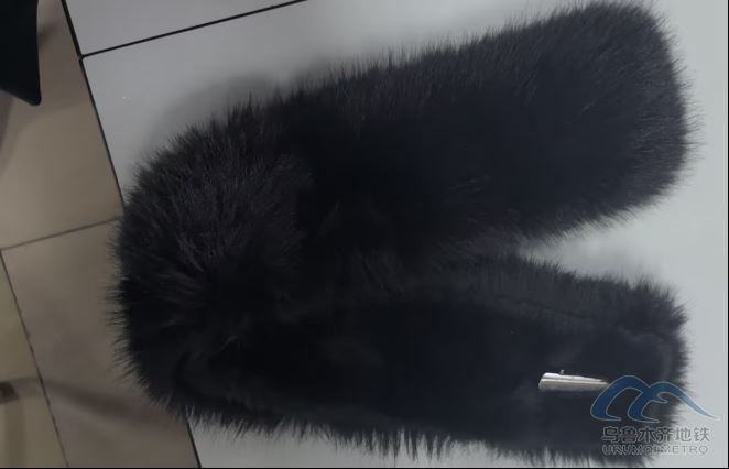 2026年1月15日地鐵1號線站內(nèi)遺失物品清單325.png 2026年1月15日地鐵1號線站內(nèi)遺失物品清單325.png