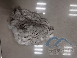 2026年3月11日23207.png 2026年3月11日23207.png